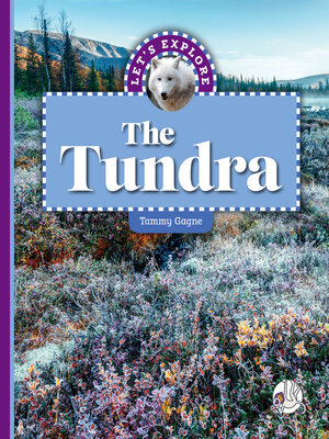 cover image of Let's Explore the Tundra